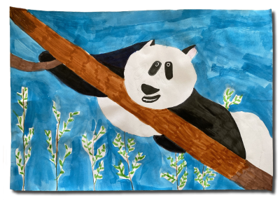 BGS_MW_Klasse-4a-09