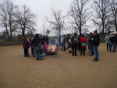 Bild-11