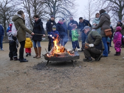 Bild-24