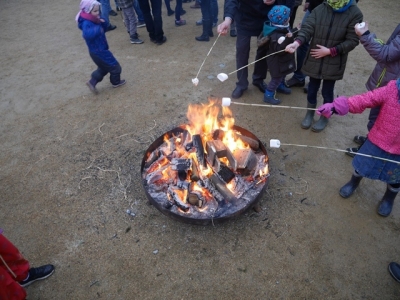 Bild-28