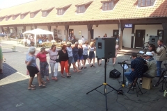Bild-20