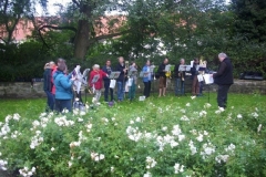005
