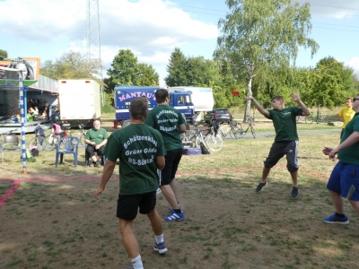 Bild-31