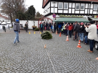 Bild-3