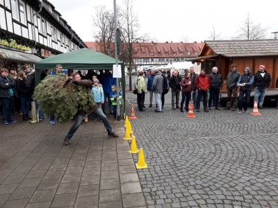 Bild-6