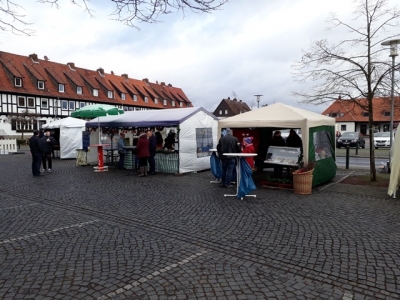 Bild-8